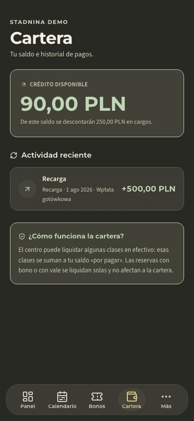 vista previa · Saldos