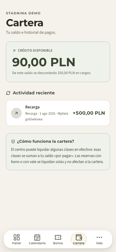 vista previa · Saldos