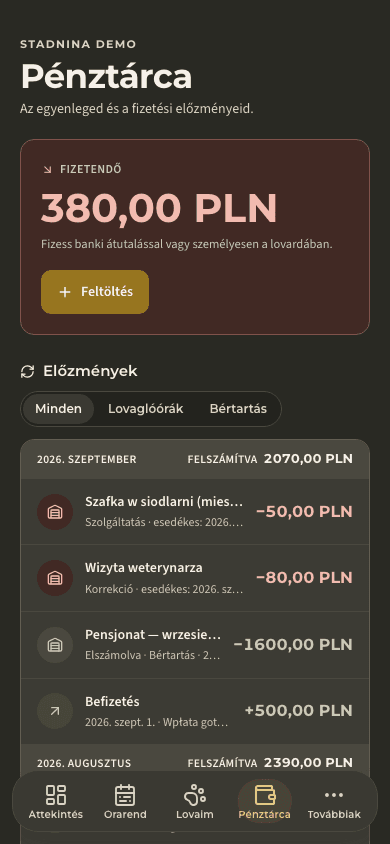 előnézet · Egyenlegek