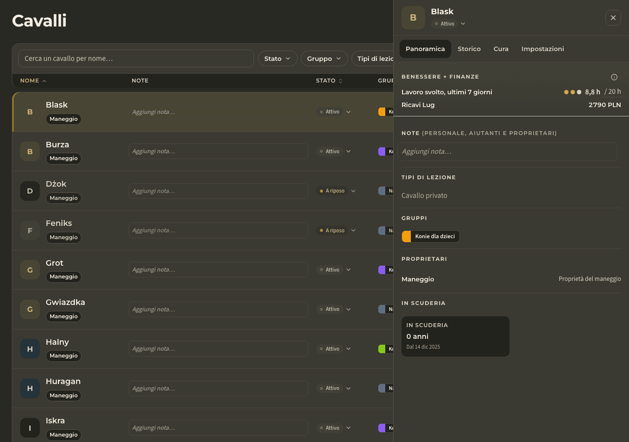 screenshot — profilo del cavallo e carico di lavoro