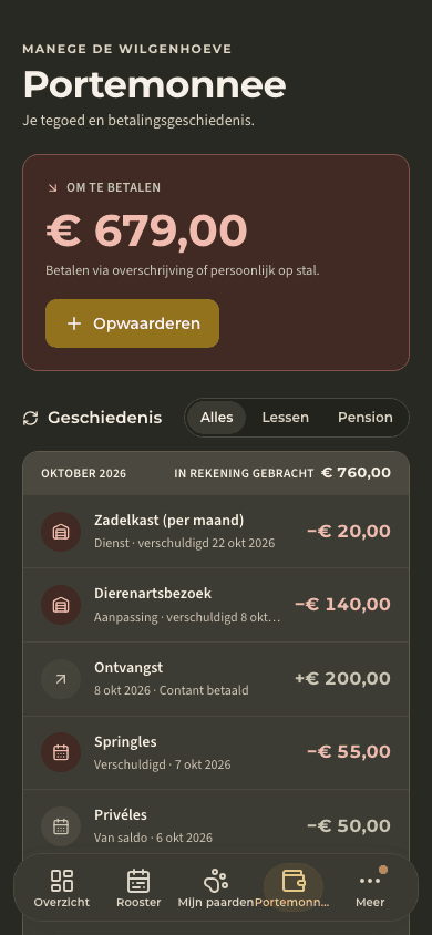 voorbeeld · Saldi