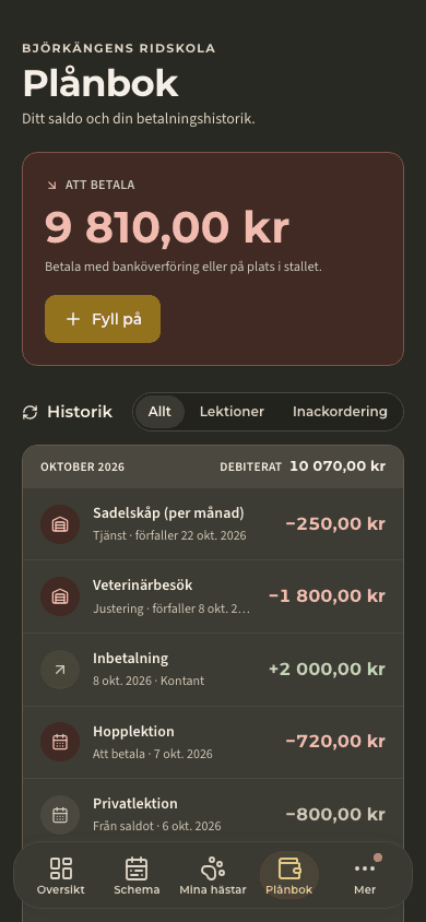 förhandsvisning · Saldon