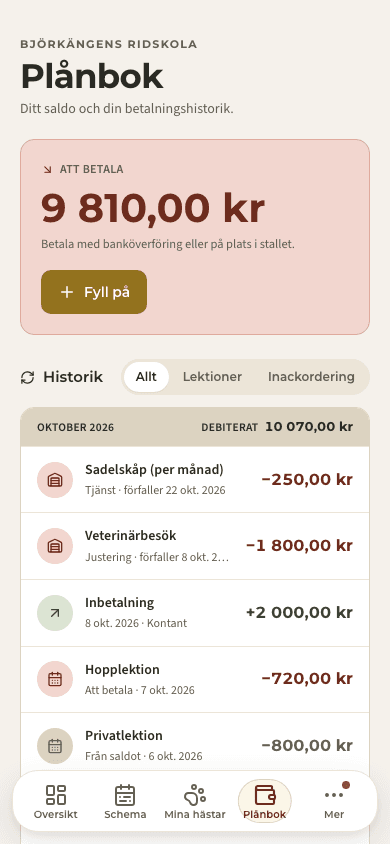 förhandsvisning · Saldon